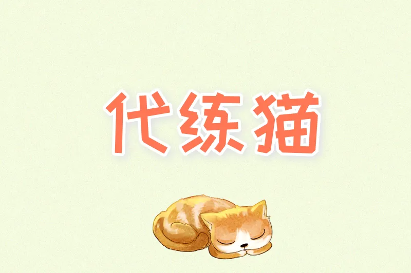 代练猫