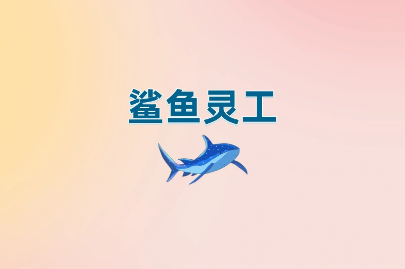 鲨鱼灵工