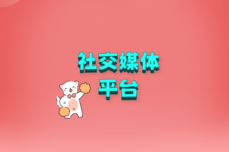 社交媒体平台