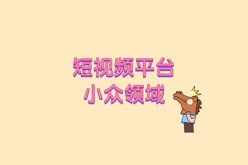 短视频平台小众领域