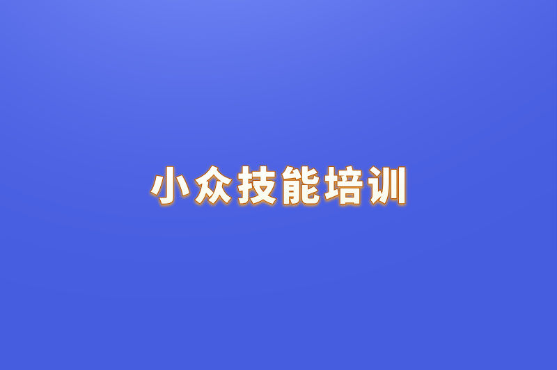 小众技能培训