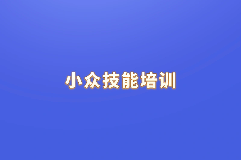 小众技能培训