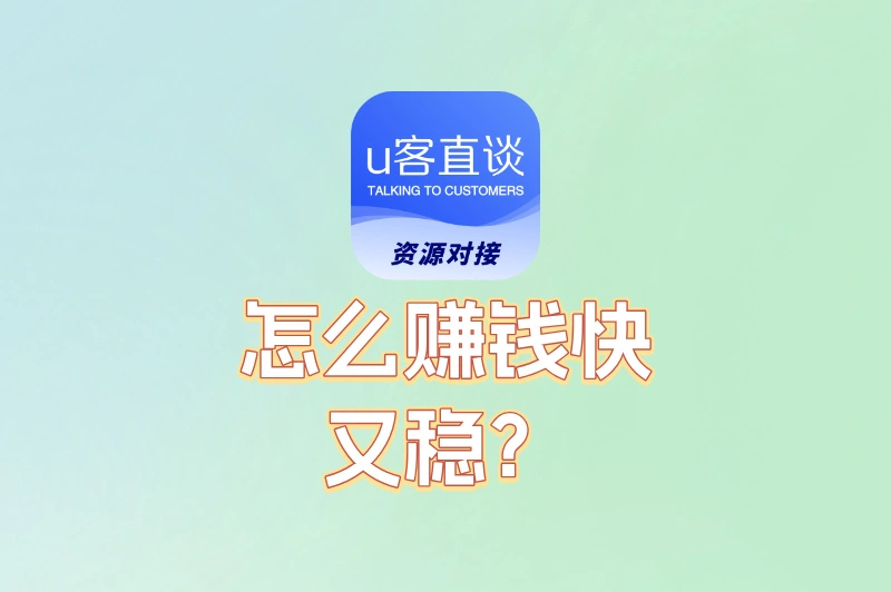 2025年怎么赚钱快又稳?这5个风口项目,抓住一个就够了!