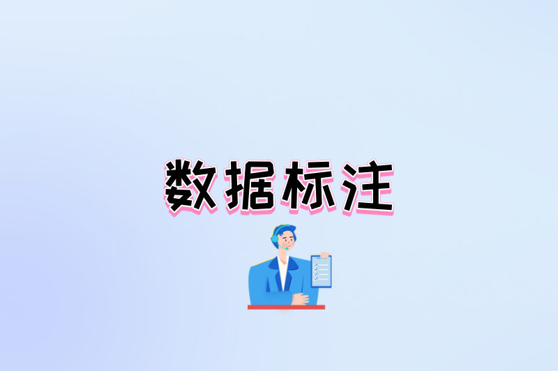 数据标注