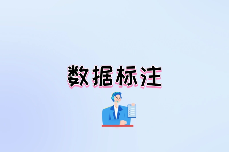数据标注