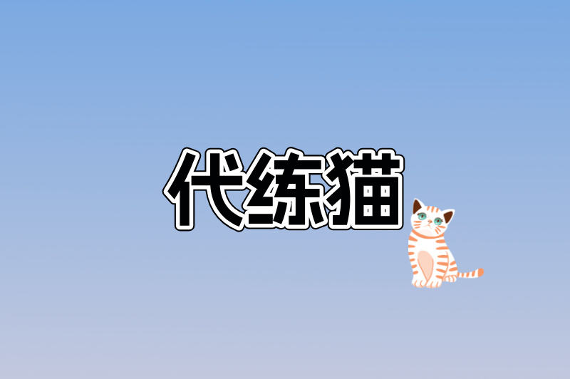 代练猫