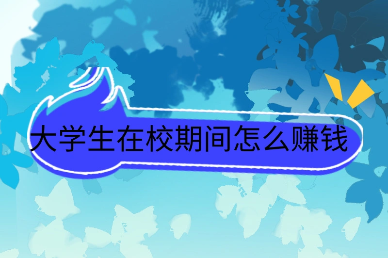 大学生在校期间怎么赚钱，机会多多，快来试试！
