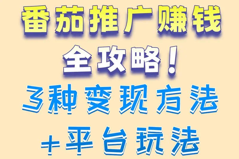 番茄推广赚钱全攻略！3种变现方法+平台玩法