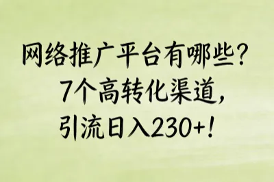 网络推广平台有哪些？7个高转化渠道，引流日入230+！