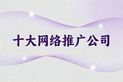 十大网络推广公司