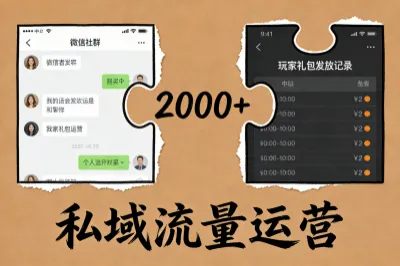 5.私域沉淀与转化