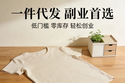 一件代发副业首选