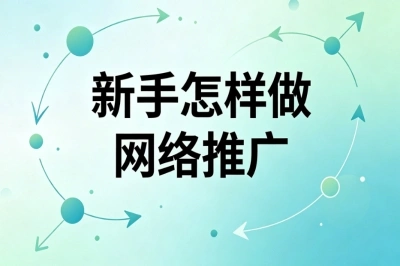 新手怎样做网络推广