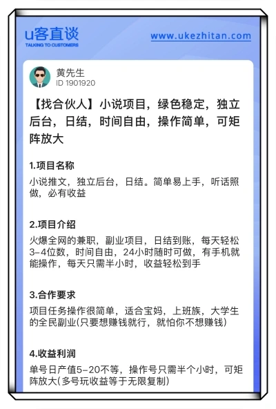 小说项目