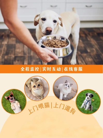 宠物服务