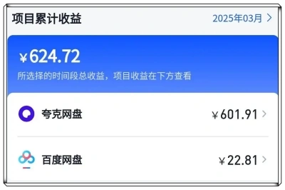 项目累计收益