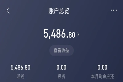 账户总览