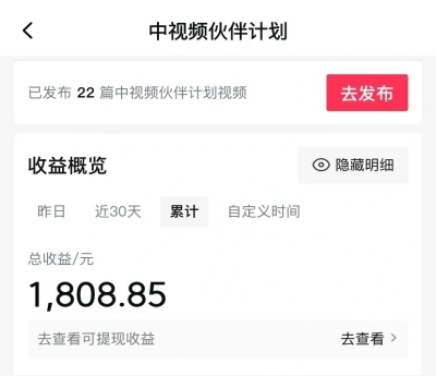收益概览