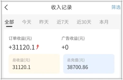 收入记录