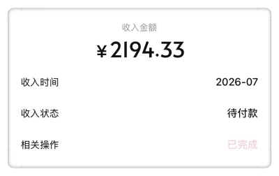 收入金额