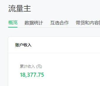 捞偏门快速赚100万？不如看看这5个真能配图