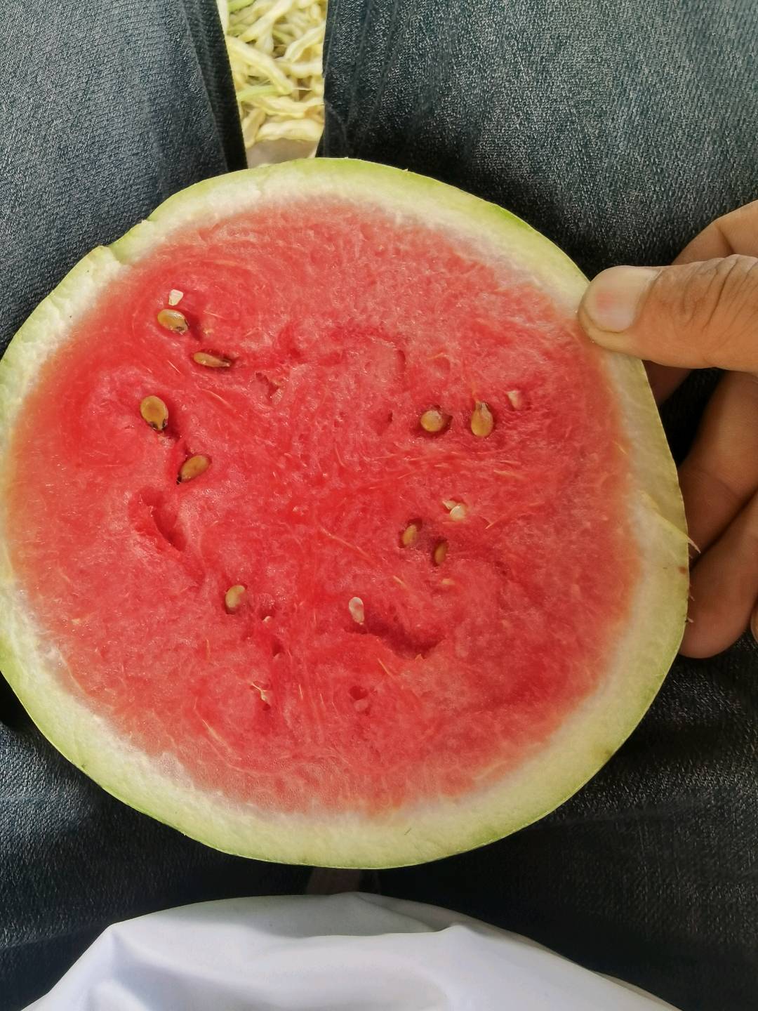 温玉杰生态农场蔬菜寻找销路
