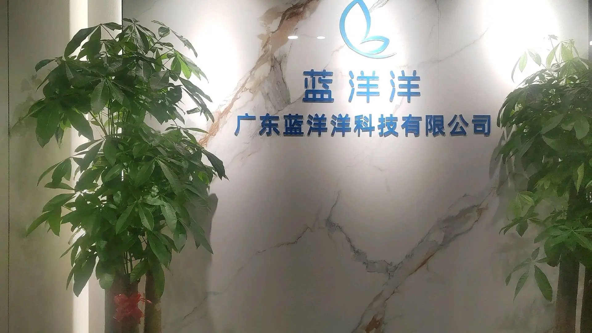 陈晓燕找合伙人