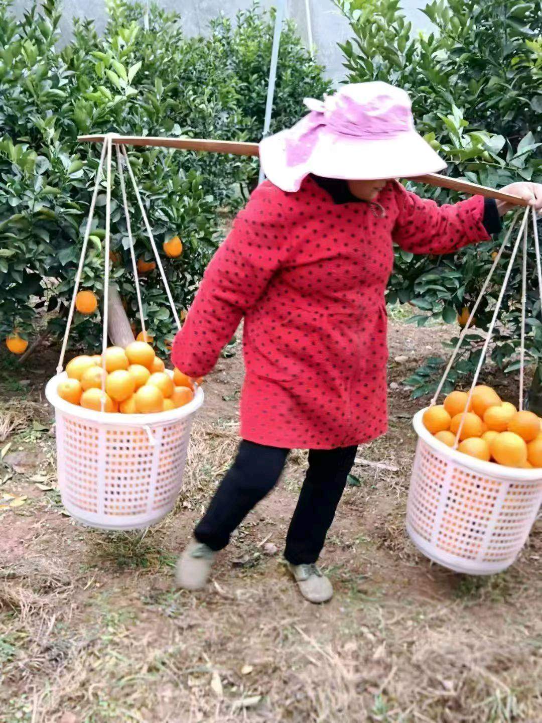 刘先生品牌货源