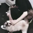 于女士