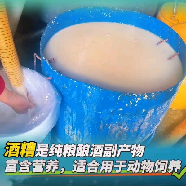 周灵品牌货源大量提供白酒厂大米酿酒副产物，液体酒糟，500一车