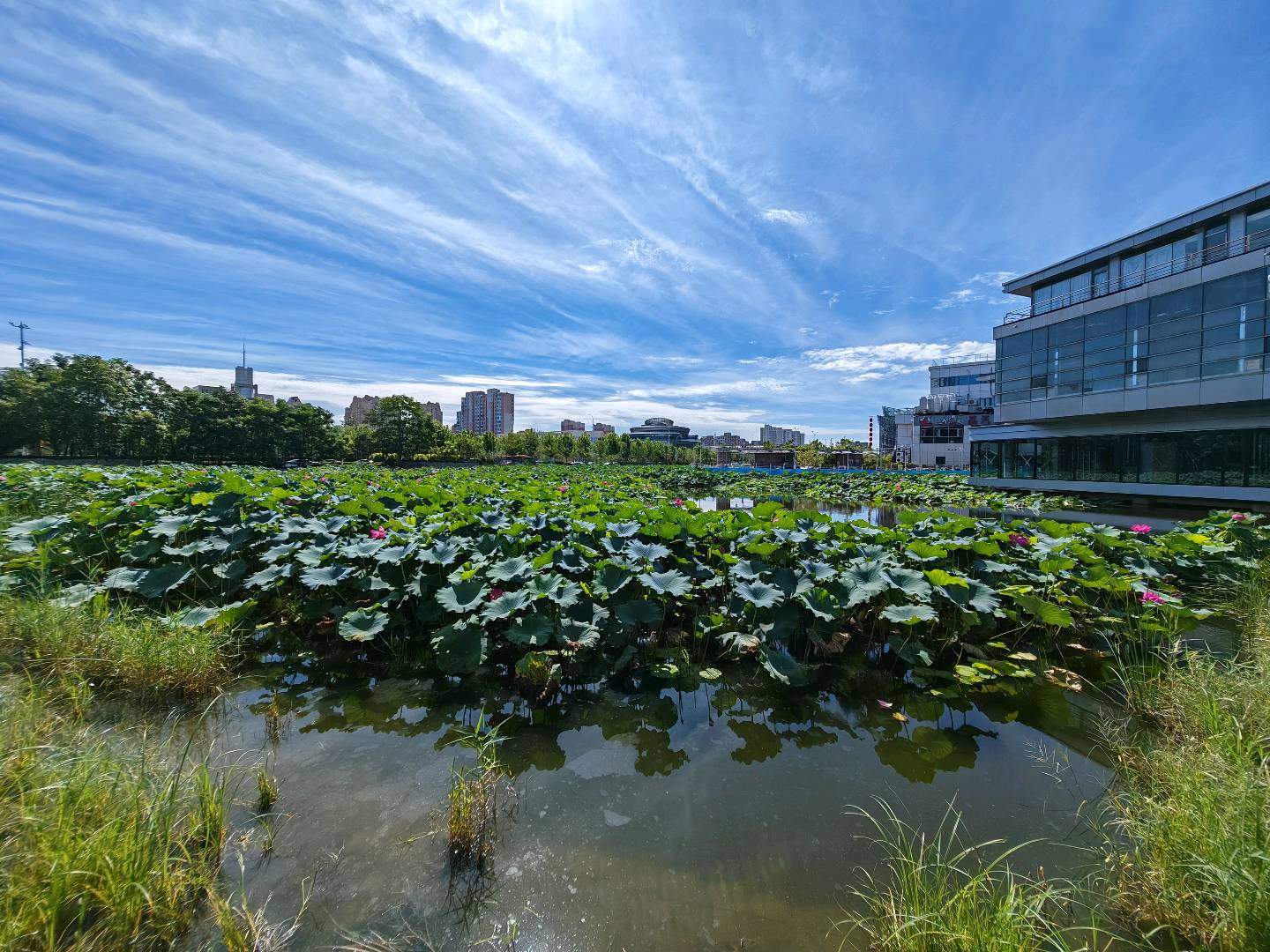 于先生找合伙人今日头条，懒人项目，55分钟，0成本