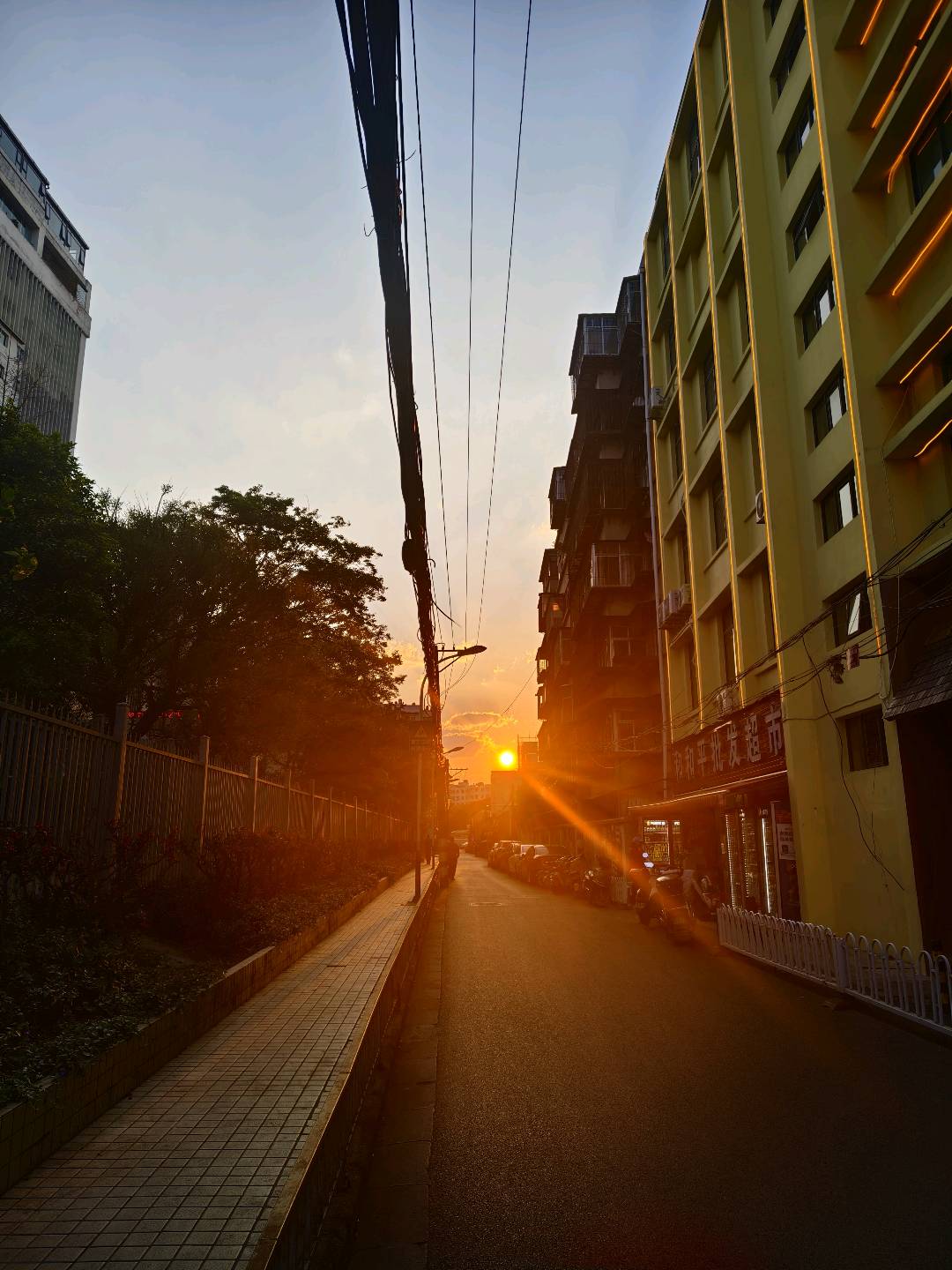 马官东找合伙人橙人玩具一天*