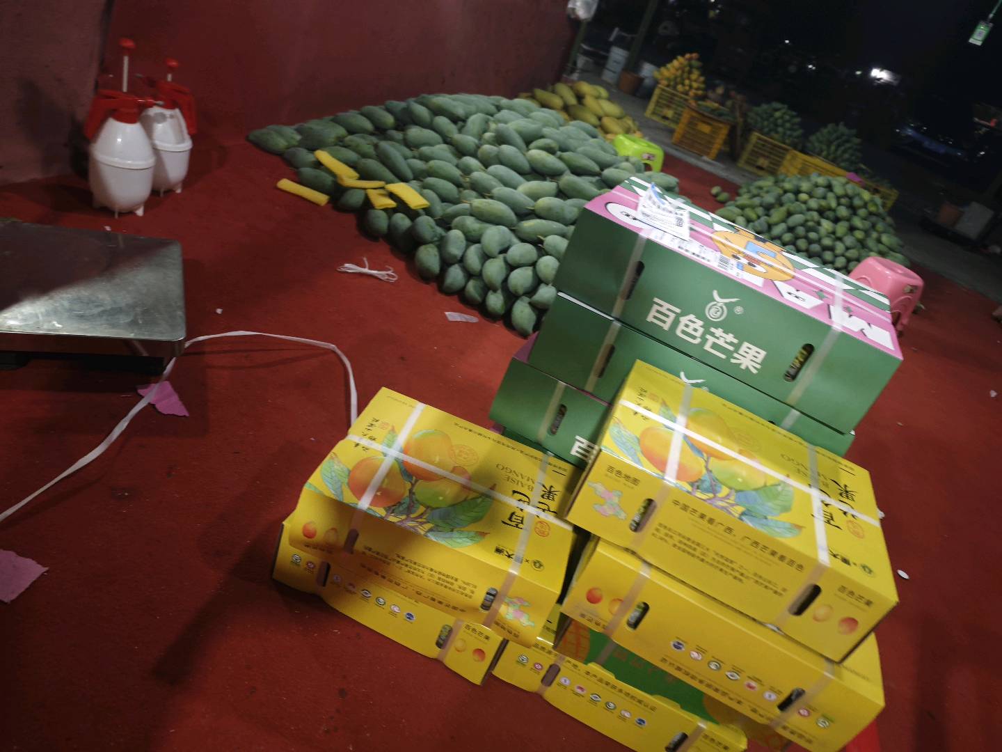 马先生品牌货源提供广西百色市芒果，台农、贵妃、金煌、桂七等品种芒果，全国各地一件代发