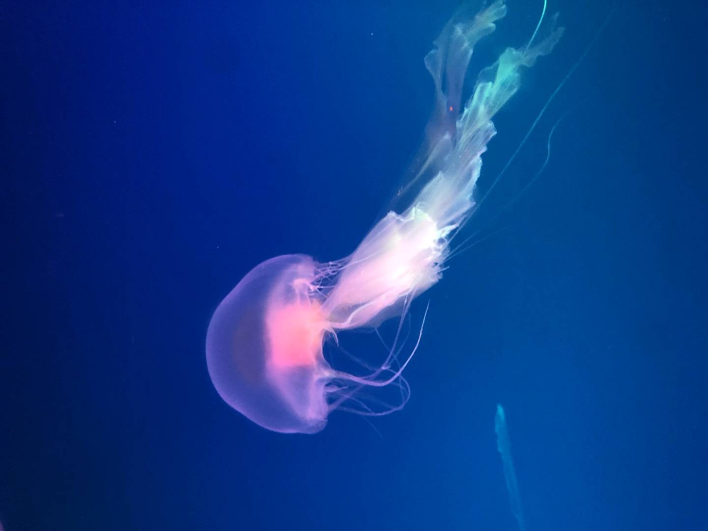 u客直谈实名认证刘先生