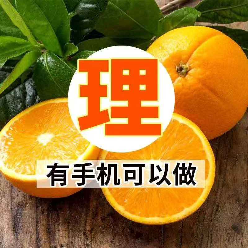 胡海燕品牌货源