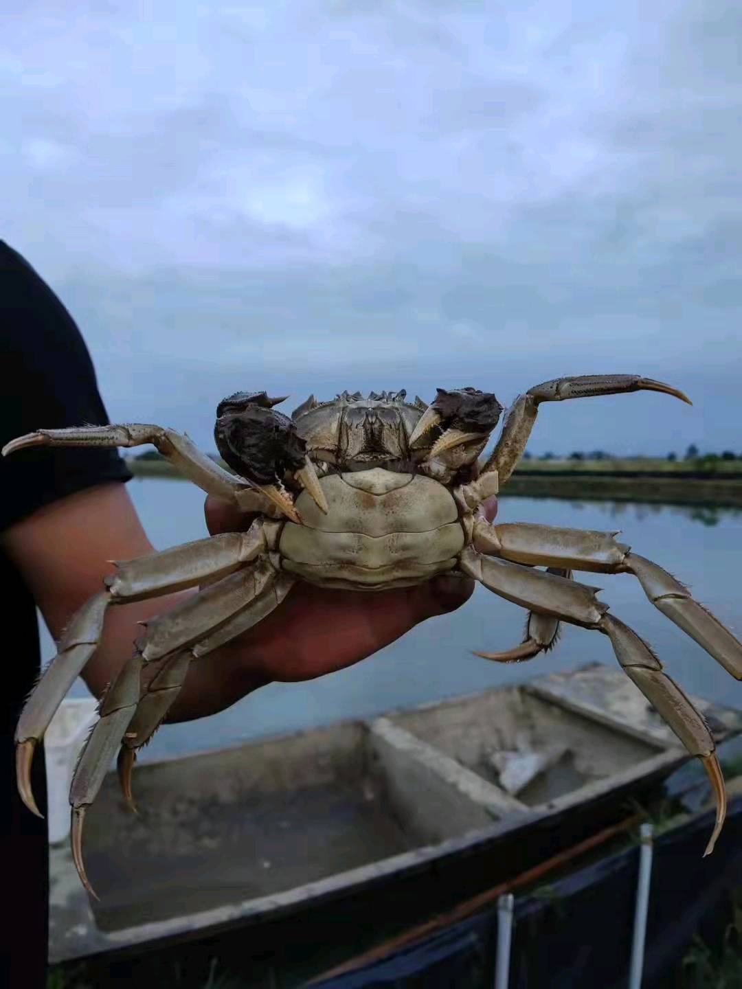 沈先生品牌货源
