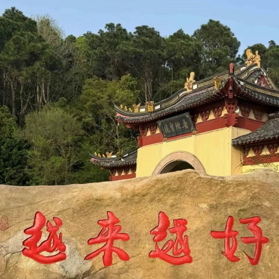 杨女士