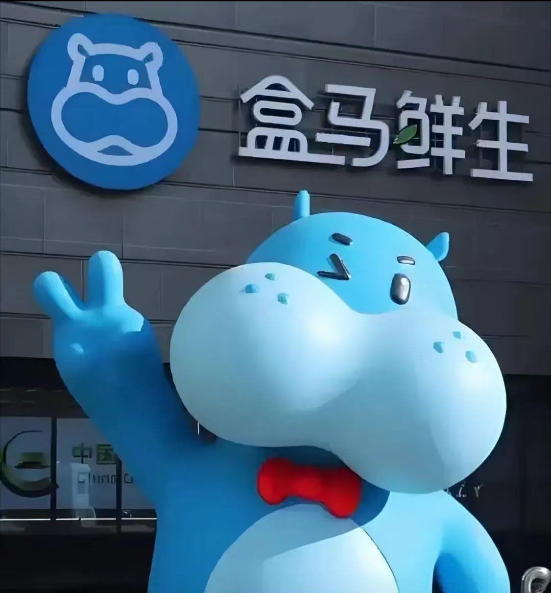 刘亚宁盒马淘鲜达招地推团队 个人 高佣