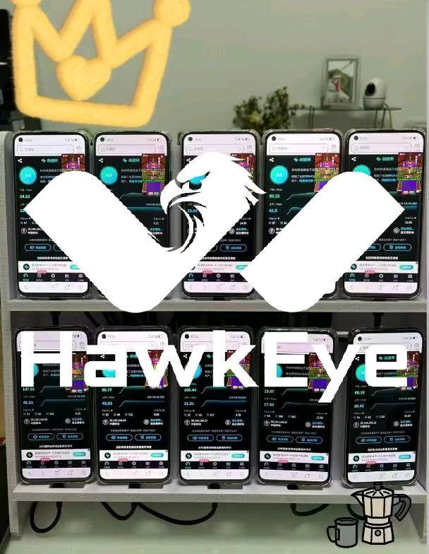 戚女士手机看广告变现，单机收益80+，签合同有保底，公对公打款可实地考察