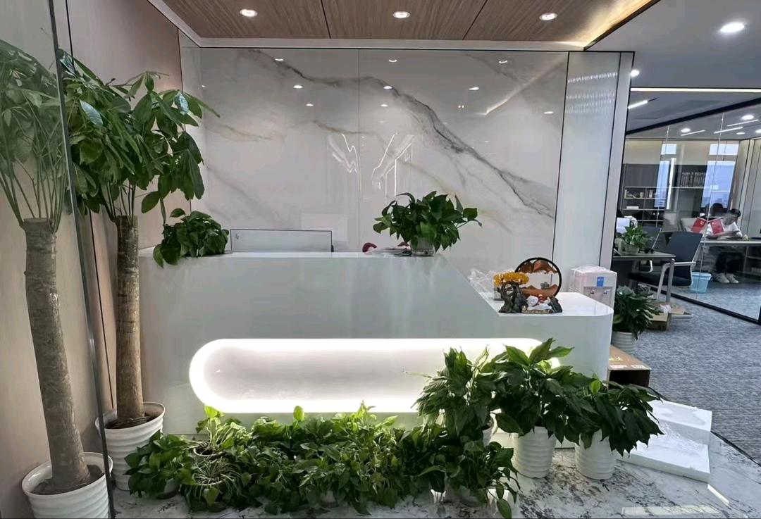 刘先生找合伙人海外短视频搬砖，有电脑就可以做，日结，全程免费