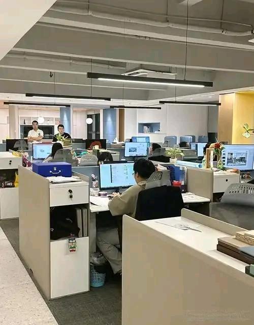 何先生地推项目数字人民币地推