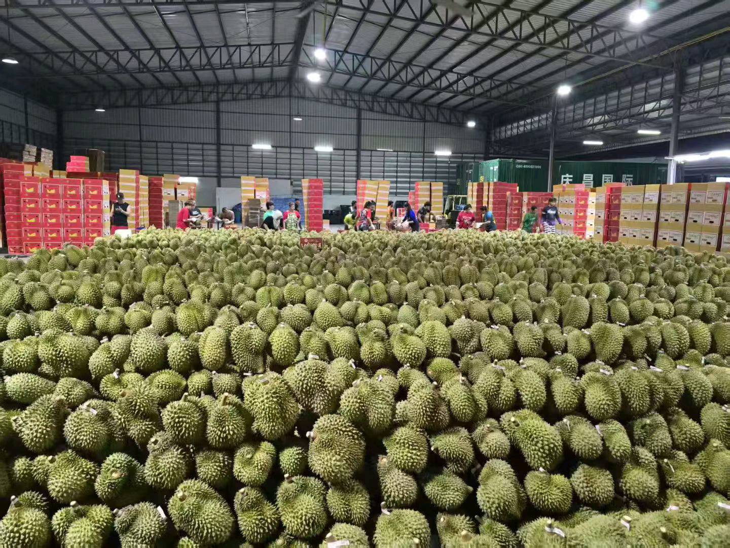 王先生诚邀城市合伙人,共享进口生鲜渠道与AI数据产品收益