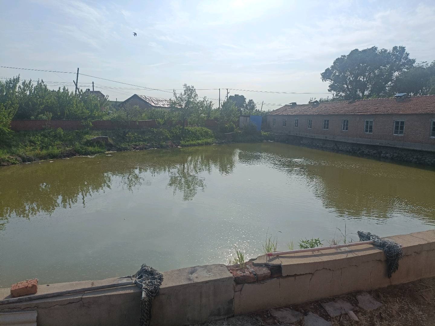 杨志刚农家乐，垂钓，洗浴，住宿