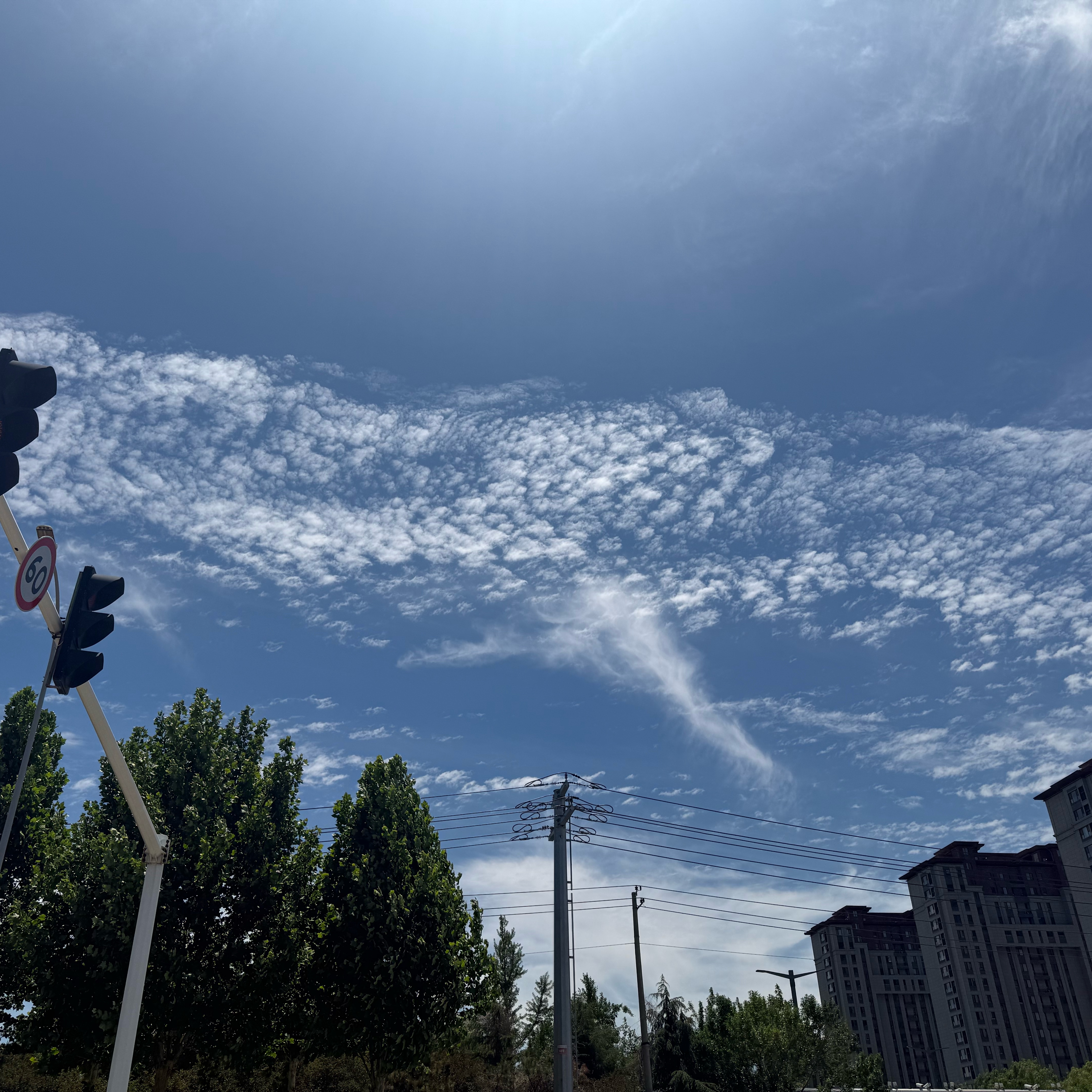 u客直谈实名认证王女士