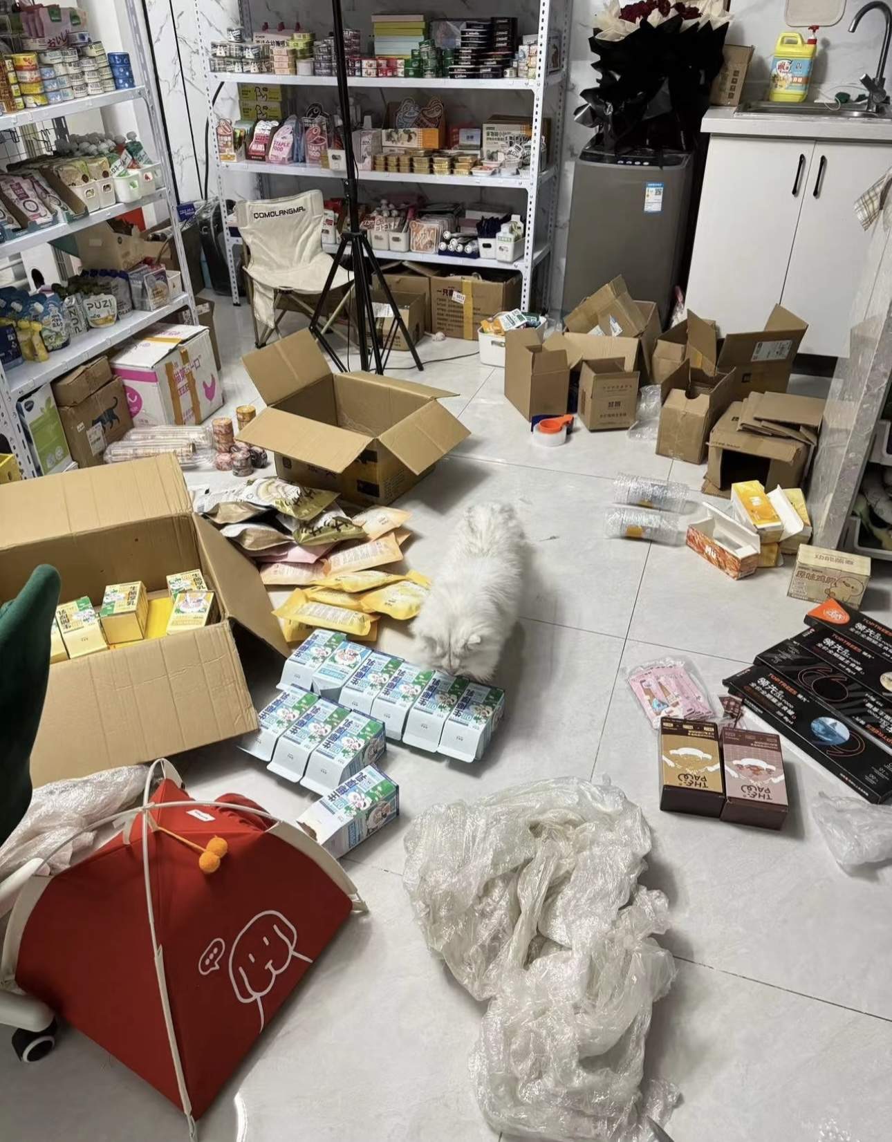 汪女士找合伙人宠物用品供应商合作 支持一件代 发包运营包选址