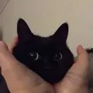 殷先生