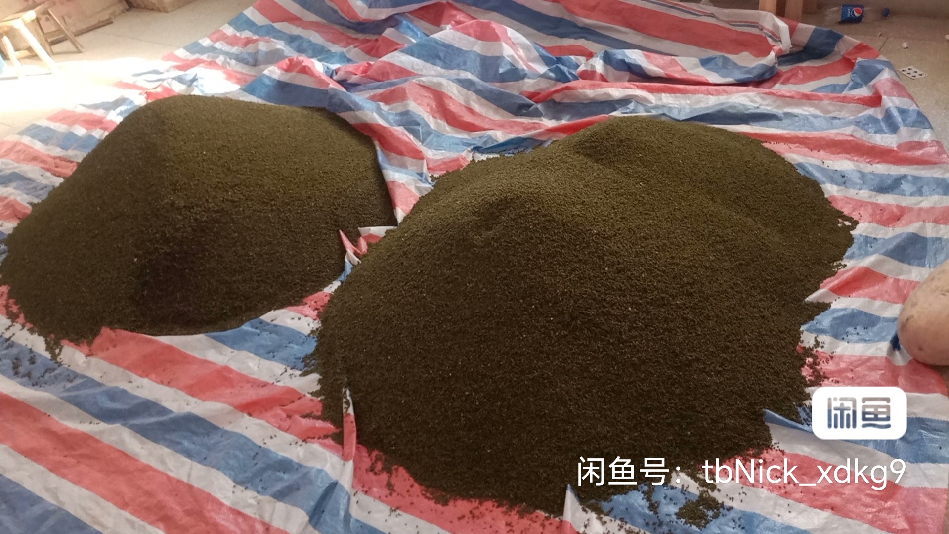 柯尊春吴茱萸即将上市，寻求中药商老板来收购