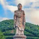 张先生