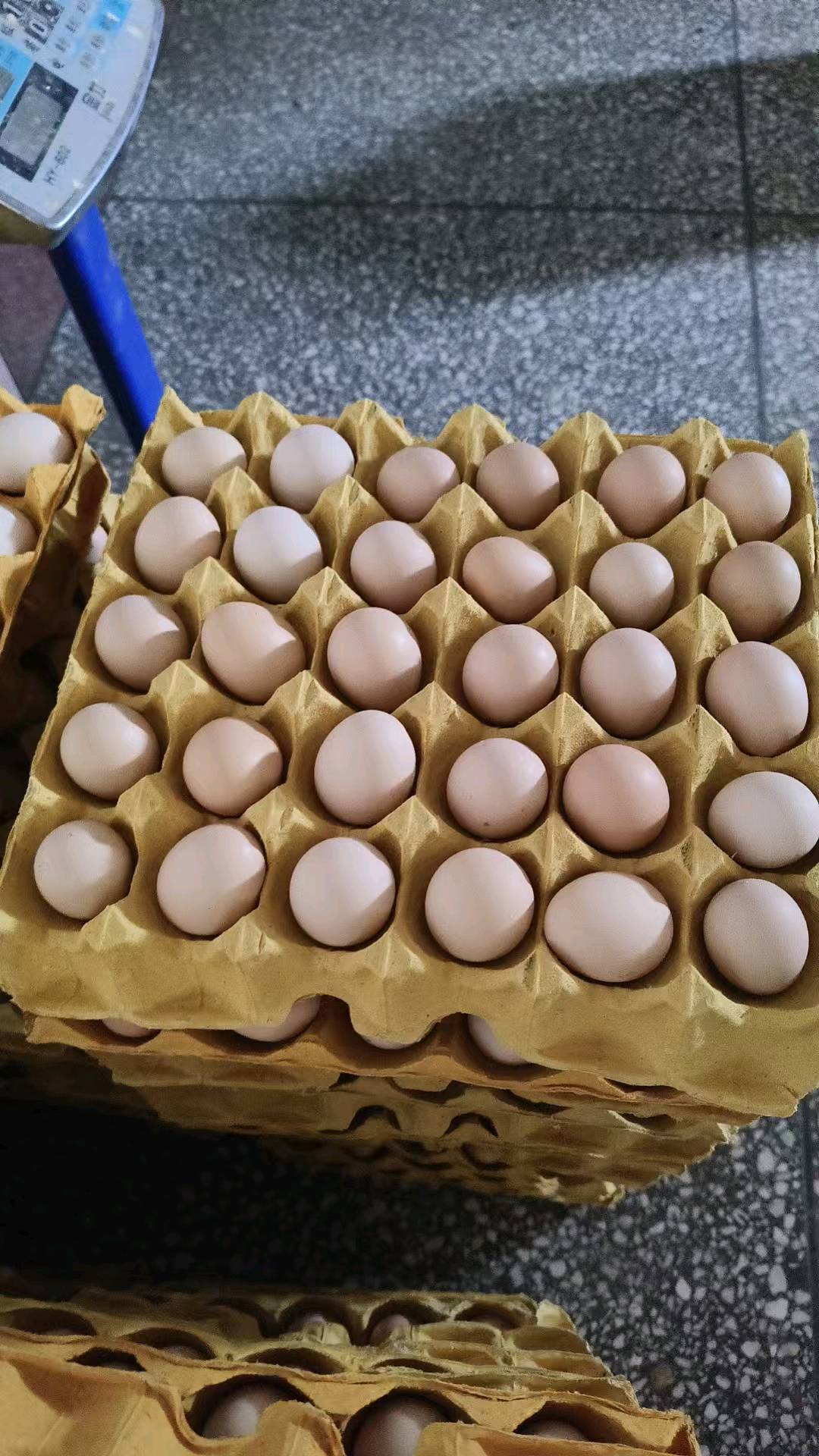 夏红田新鲜鸡蛋 · 健康生活