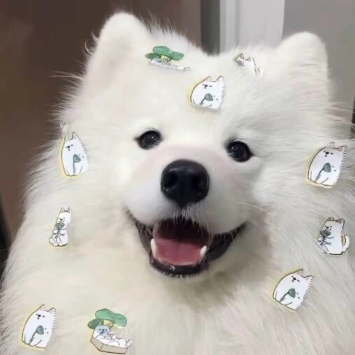 u客直谈实名认证李先生